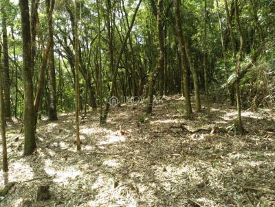Terreno Condomnio Rural para Venda, em Rancho Queimado, bairro Centro